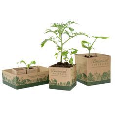 three boxes with plants growing out of them