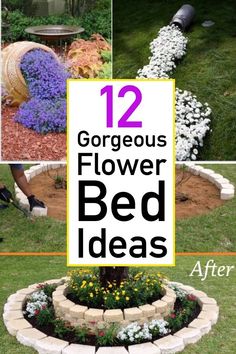 several different pictures with flowers in them and the words, 12 gorgeous flower bed ideas