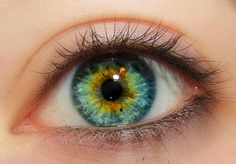 Realistic Eye Drawing, Blue Green Eyes, Realistic Eye