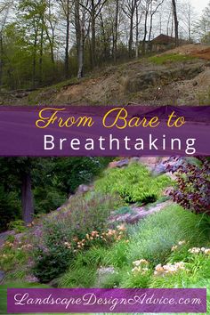 the front cover of from bare to breathtaking by landcape design and nature com