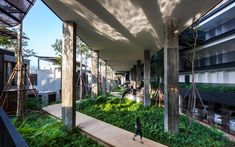 a person walking down a walkway in front of a building with plants growing on it