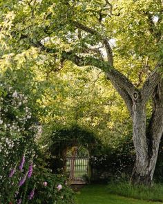 an open gate in the middle of a lush green yard with trees and flowers around it