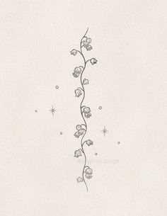 a drawing of a vine with flowers on it's end and stars in the background