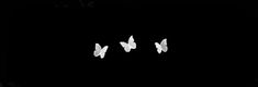 three white birds flying in the dark