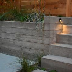 concrete steps leading up to a garden area with plants and lights on the side wall