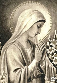 an image of the virgin mary holding flowers in her hands and looking down at it