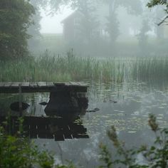 a dock in the middle of a pond with water lillies and trees around it