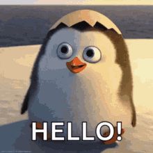 a cartoon penguin with the words hello written on it