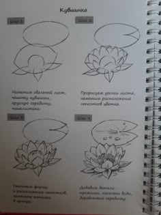 the instructions for how to draw water lilies in russian, english and chinese language