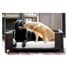 two large dogs sitting on top of a dog bed with their noses to each other