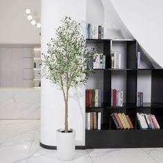 a book shelf with books and a potted plant in it next to a staircase