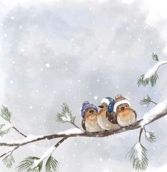 three birds are sitting on a branch in the snow, wearing hats and scarves