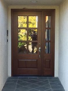 a dog is standing in front of a door with glass panes on the side