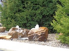 two birds sitting on top of rocks in front of trees