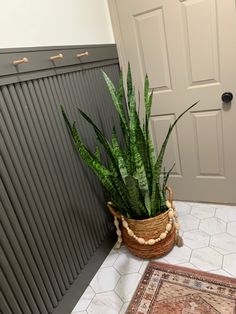 a potted plant sitting on the floor next to a door