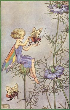 molly brett prints | Molly Brett, Fairy, 1930s | Flickr - Photo Sharing! Arte Indie, Fairy Lanterns, Cicely Mary Barker, Hur Man Målar, Flower Fairies