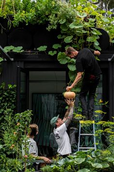 two men are working in the garden with their hands on some plants and one man is reaching for something