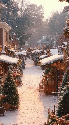 a snowy street with lots of christmas trees