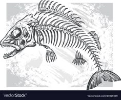 the skeleton of a fish with an open mouth and large teeth is depicted in black and white