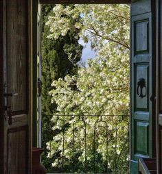 an open door leading to a lush green tree filled forest with lots of white flowers