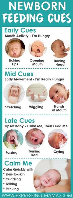 a baby's feeding guide for newborns