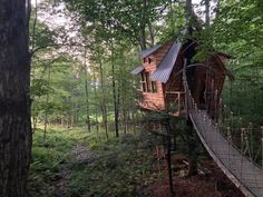 a tree house in the woods with a walkway going up to it's roof