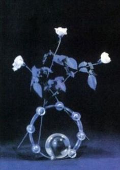 a glass vase filled with white roses on top of a table