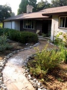 a house that is in the middle of some bushes and trees, with a small stream running through it