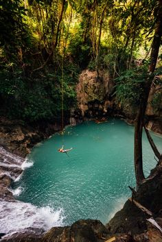 a man is in the middle of a body of water with some trees around him