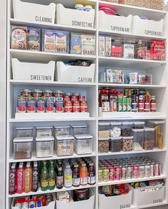 an organized pantry filled with lots of food