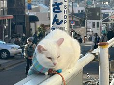 a white cat sitting on top of a metal rail next to a street filled with people