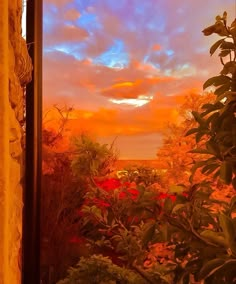 an open window looking out at the sunset and trees in the distance with red flowers