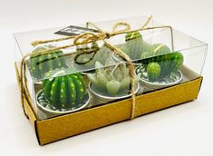 small cactus plants in glass containers tied with twine