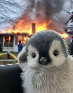 a stuffed animal penguin sitting in the passenger seat of a car next to a fire