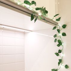 a green plant is growing on the side of a window sill in a bathroom