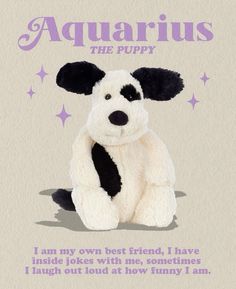 a stuffed animal sitting on top of a white sheet with the caption aquarius the puppy