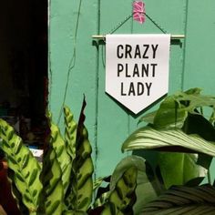 a sign that says crazy plant lady hanging on a green wall next to some plants