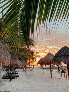 people are on the beach at sunset with thatched umbrellas and palm trees in the foreground