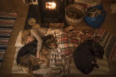 a woman laying on top of a bed next to two dogs and a fire place