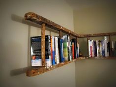 a book shelf made out of an old ladder is filled with books on the wall