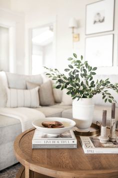 a living room with a couch, coffee table and potted plant on top of it