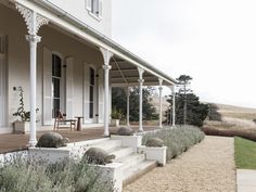 the front porch of a large white house with lavender growing on it's side