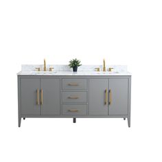 a double sink vanity with two gold faucets on it's sides and a potted plant in the middle