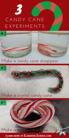 the steps to make candy cane experiment for kids and adults with instructions on how to make them