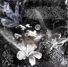 a black and white photo with flowers, leaves and writing on it's side