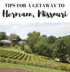 a farm field with trees and bushes in the foreground text reads tips for a getaway to herman, missouri