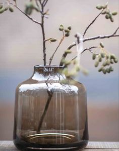 a vase filled with water sitting on top of a wooden table next to a tree