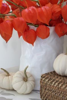 some white pumpkins and red flowers in a vase on a table with a wicker basket