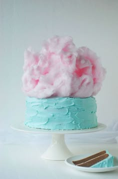 a blue and pink cake sitting on top of a white plate