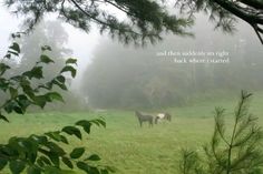 two horses are standing in the foggy field with trees and grass behind them, there is a quote written on the photo